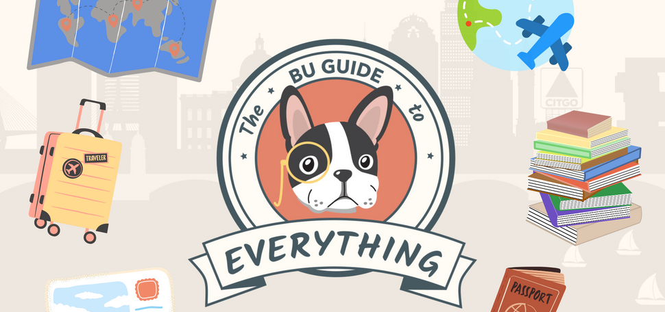 Illustration of a Boston terrier in the middle of a circle with travel accessories floating around its head, like suitcases and a passport. Text reads "Your everything guide"