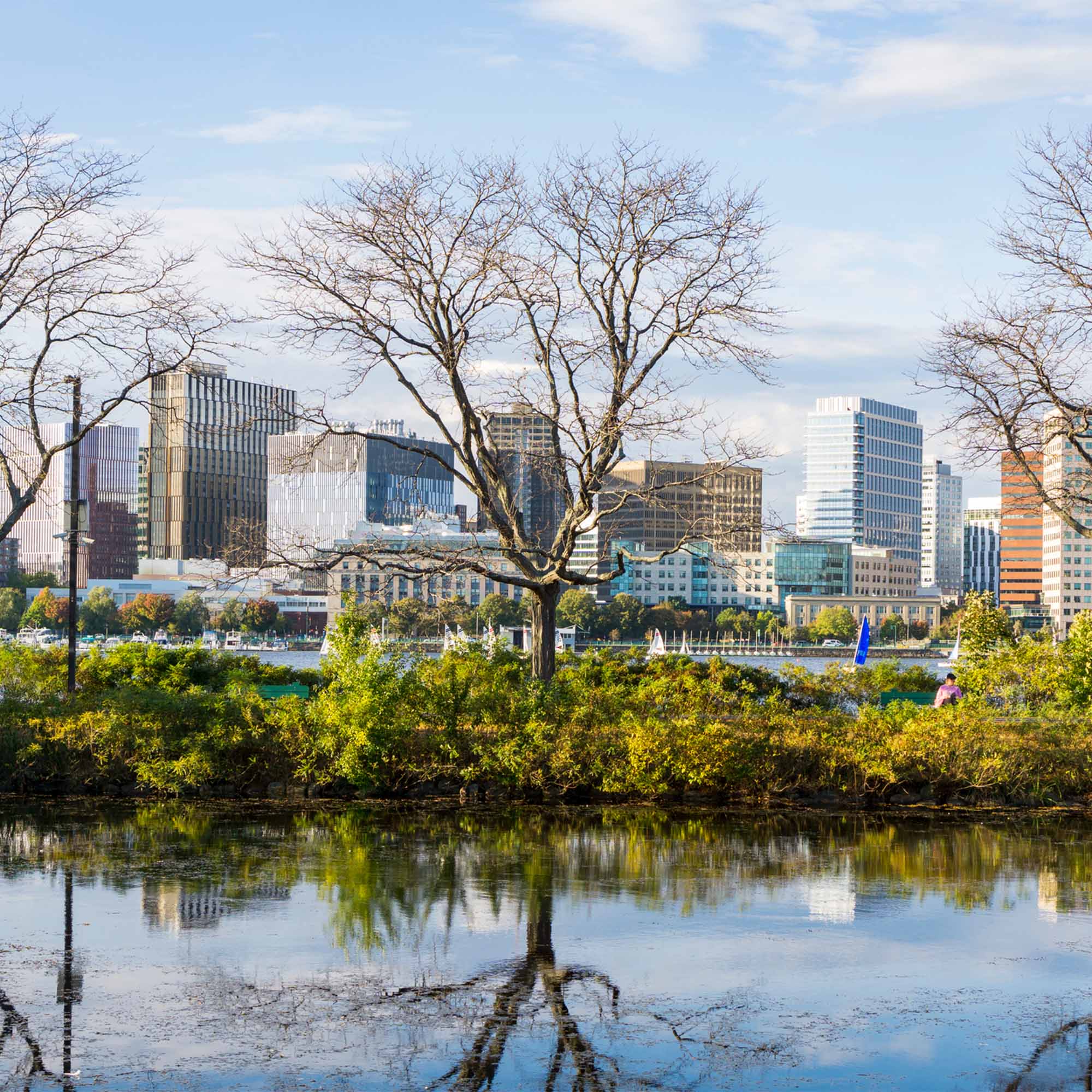 Photo: The esplanade in Boston on a sunny day in late winter, early spring