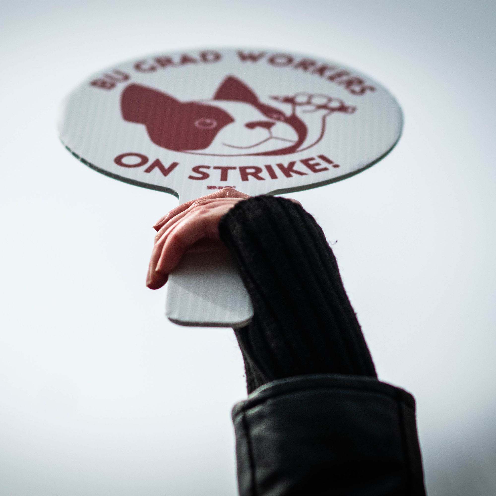 Photo: A hand holding up a sign that reads "BU Grad Workers on Strike"