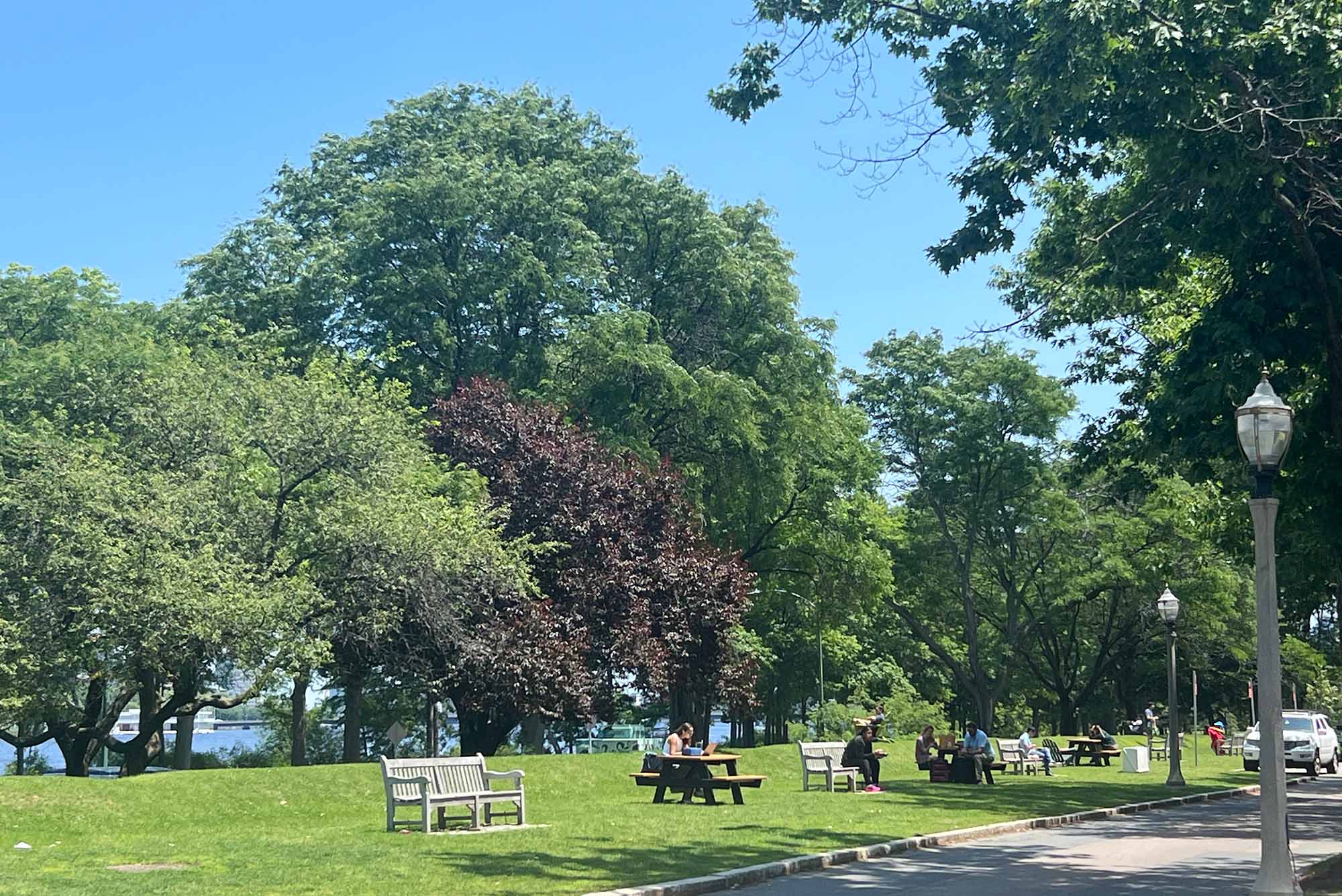 Photo: A picture of the "BU Beach," an area of grass near the Charles River