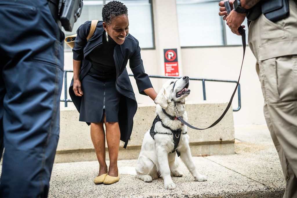 Photo: Melissa Gilliam, BU's president, an elegantly dressed black woman with short hair, reaches down to pet a golden retriever puppy
