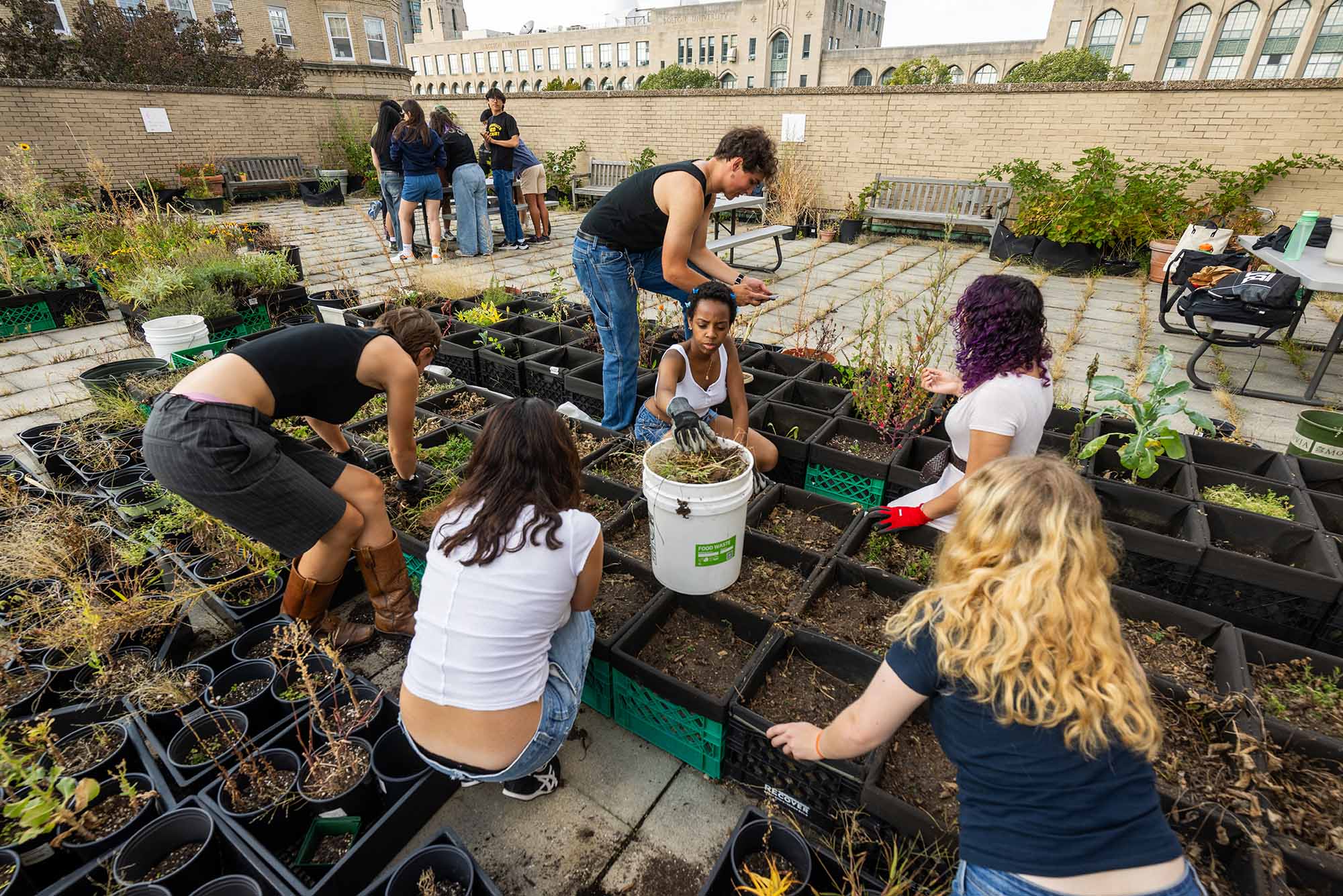 Photo: Wide shot of students tending to a rooftop garden.