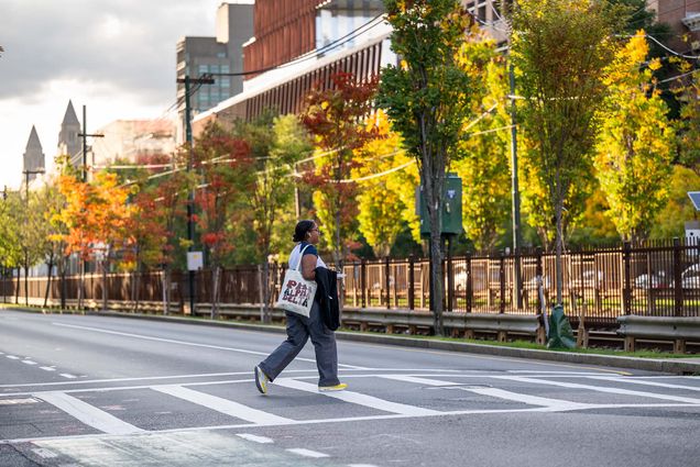 Photo: A picture of a student crossing a street lined with colorful, autumnal trees on BU's campus