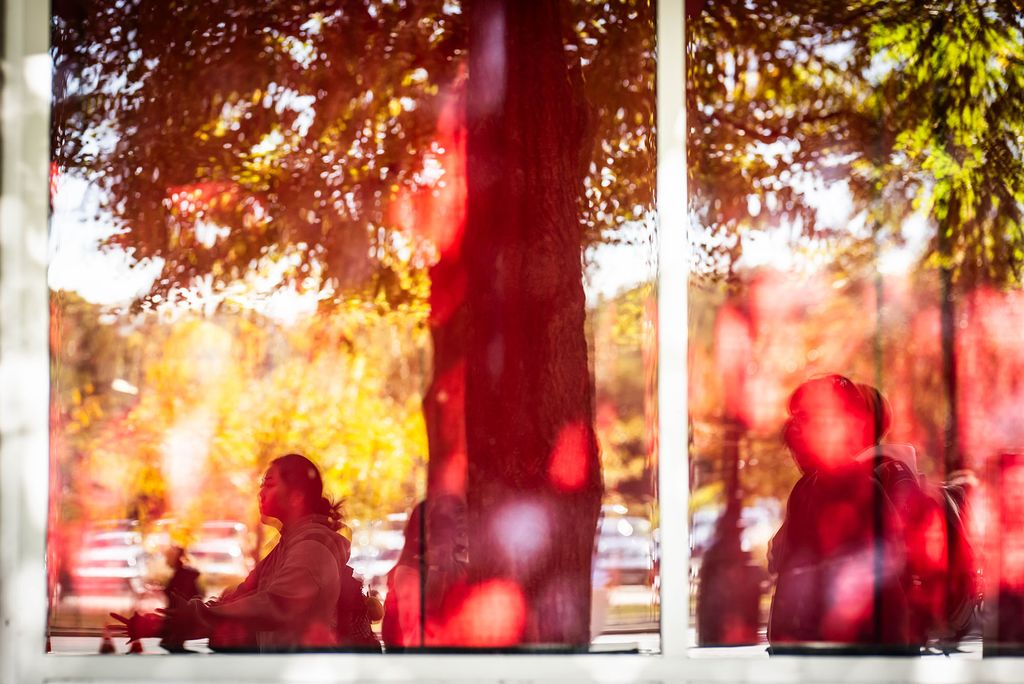 Photo: A stylistically blurry photo of reflections from a window with an autumnal tree