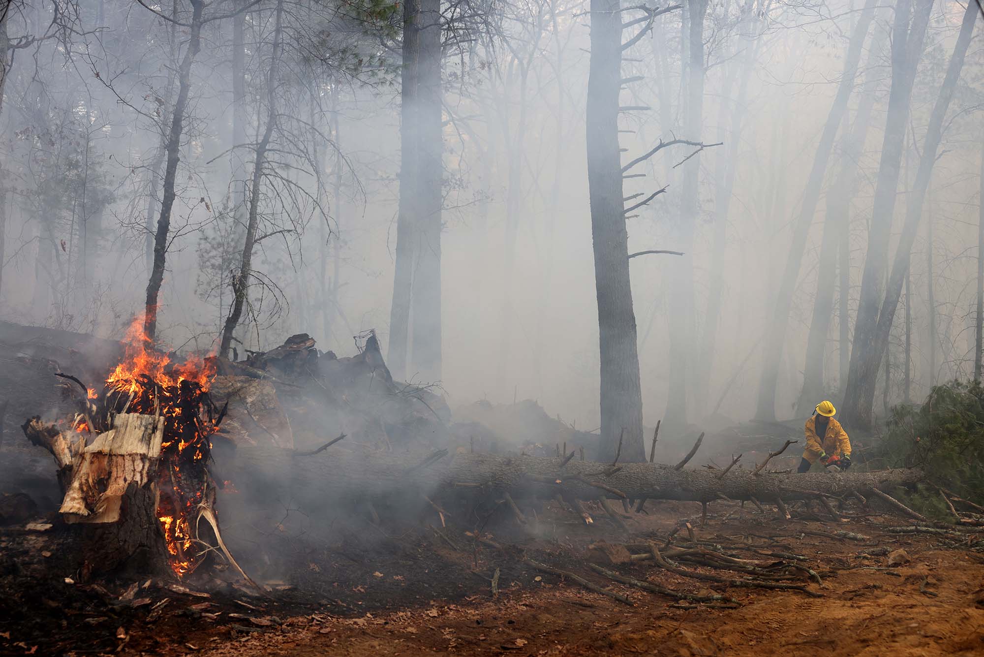 Photo: Flames and smoke flooding the Boxford State Forest during a brush fire as a firefighter uses a chainsaw to cut up and clear a tree