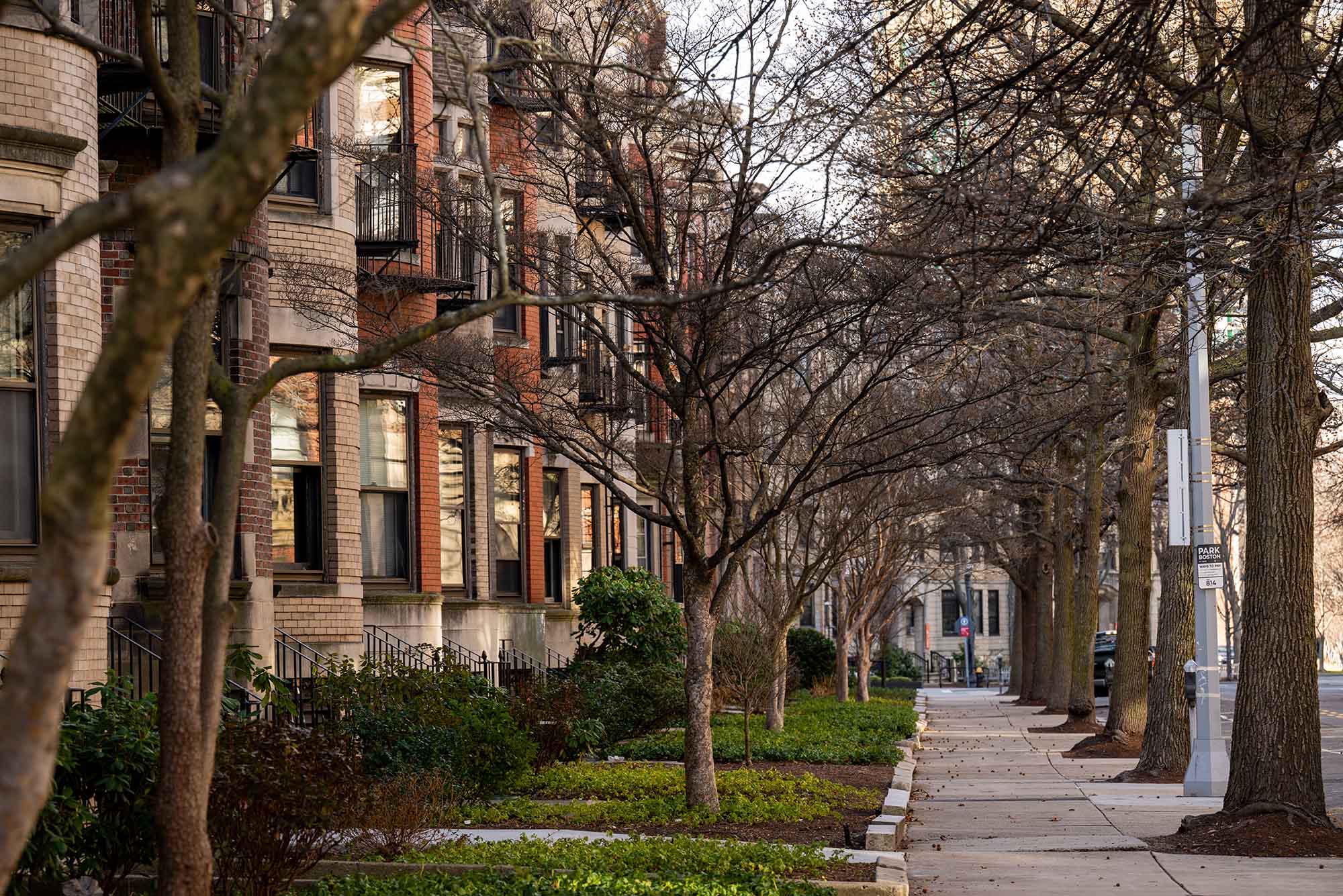 Photo: A winter scene of an empty sidewalk with brownstone apartments lining the side and barren trees