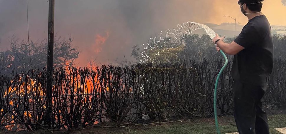 Photo: A person with a hose attempts to snuff out a steady fire in a bush.