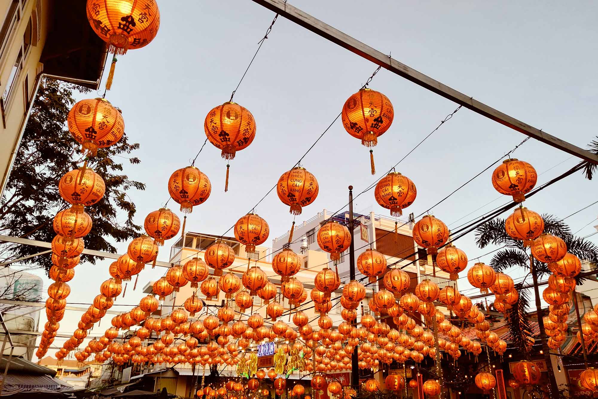 Photo: Hundreds of paper lanterns on display for Lunar New Year